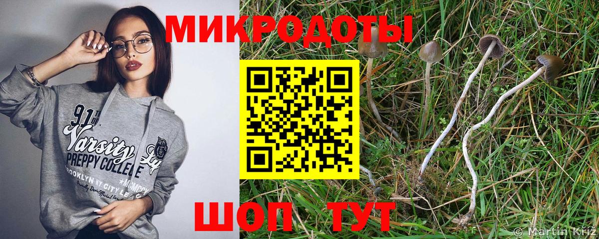 Псилоцибиновые грибы Psilocybine cubensis  Вход с VPN  Чебоксары  Псилоцибиновые грибы ЛСД 